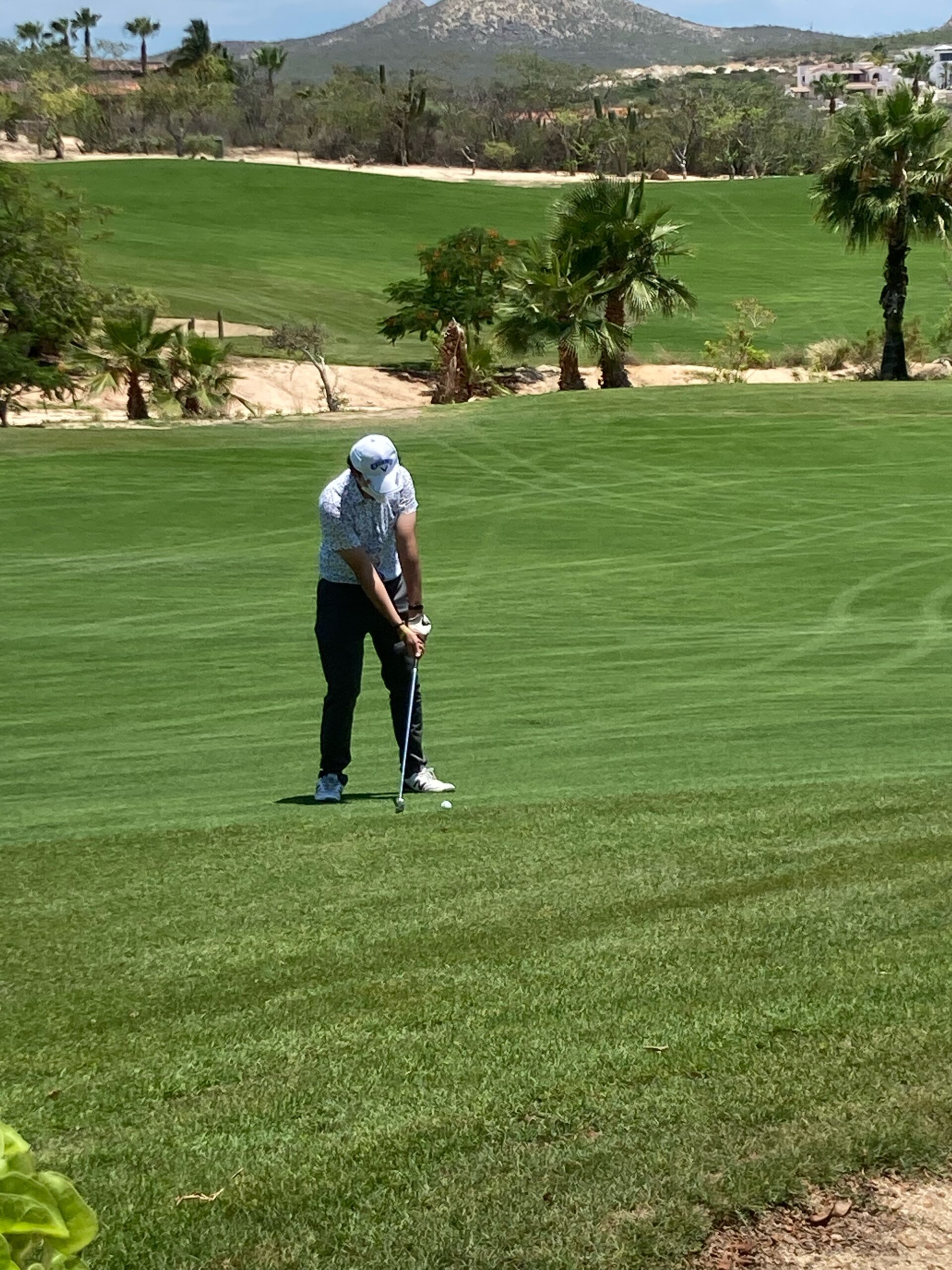 ゴルフ場で実際にプレーする様子